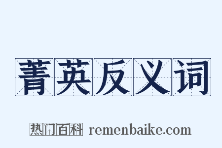 菁英反义词是什么意思的图片